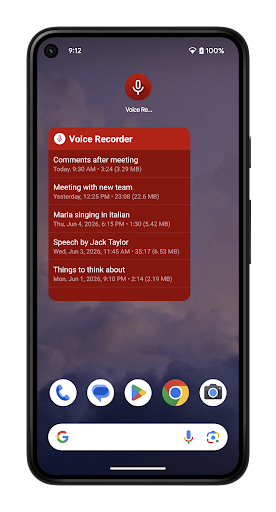 Voice Recorder Pro screenshot