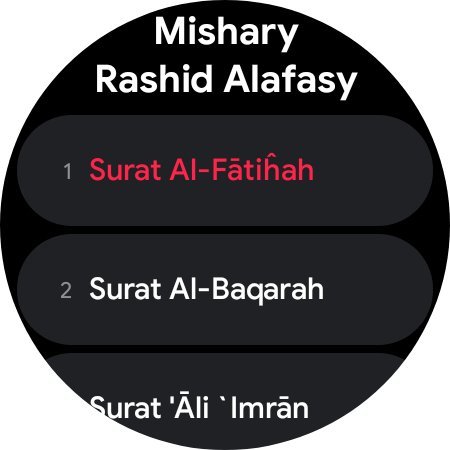 Quran Pro - القران الكريم screenshot