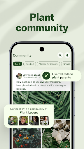 Planta: AI Plant & Garden Care screenshot