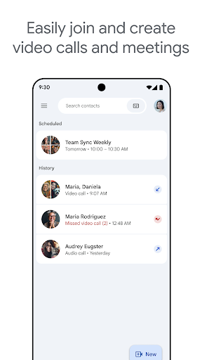 Google Meet screenshot