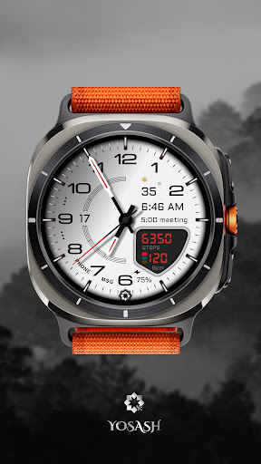 D355 Premium Watch Face screenshot