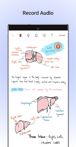 Noteshelf - Notes, Annotations screenshot