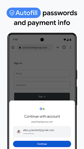 Chrome Dev screenshot