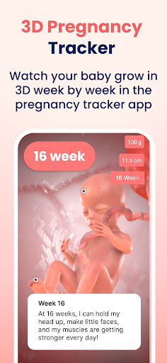 HiMommy: Pregnancy Tracker screenshot