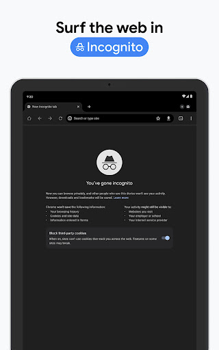 Chrome Beta screenshot
