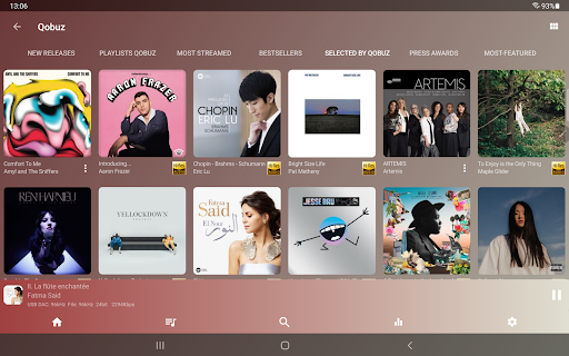 USB Audio Player PRO screenshot