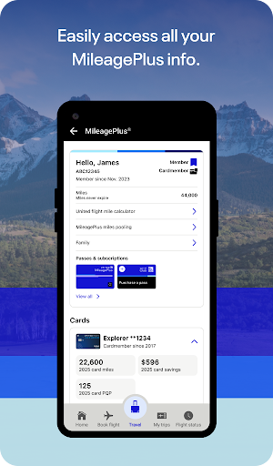 United Airlines screenshot