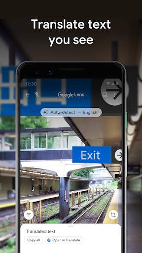 Google Lens screenshot