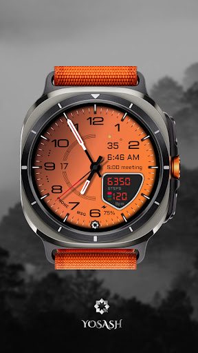 D355 Premium Watch Face screenshot