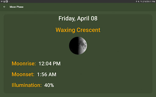 What The Forecast screenshot