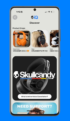 Skull-iQ screenshot