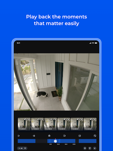 Reolink screenshot