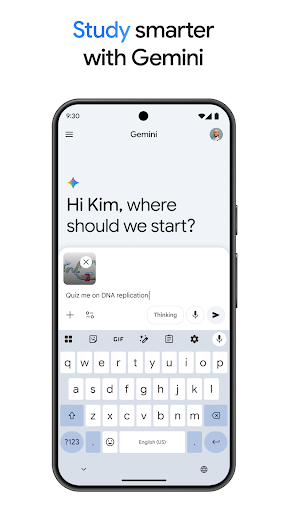Google Gemini screenshot