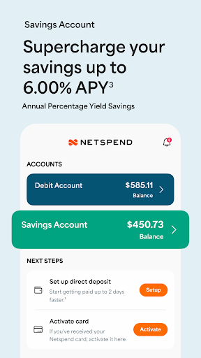 Netspend screenshot