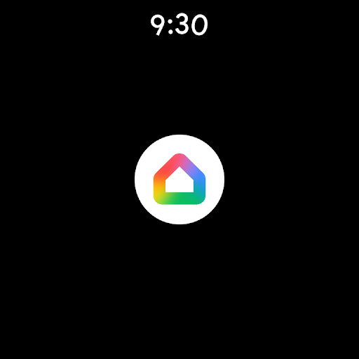Google Home screenshot