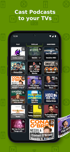 Cast to TV+ Chromecast Roku TV screenshot
