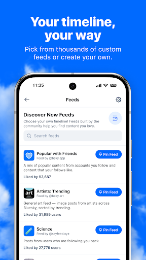 Bluesky screenshot