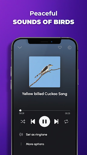 Phone Ringtones screenshot