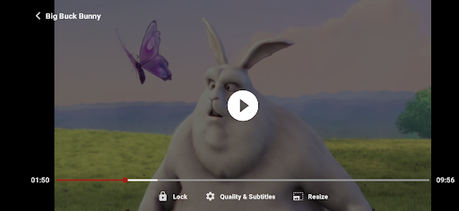 ZoZo Player - URL Video Player screenshot
