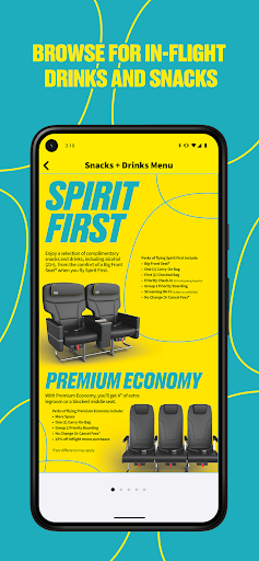 Spirit Airlines screenshot