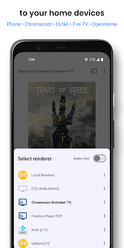 BubbleUPnP UPnP/DLNA License screenshot