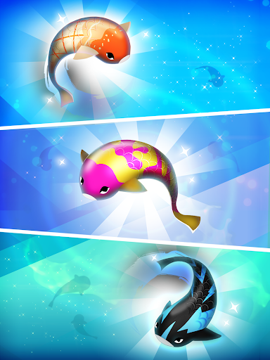 Zen Koi Pro screenshot