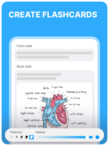 Noji – Flashcards study app screenshot
