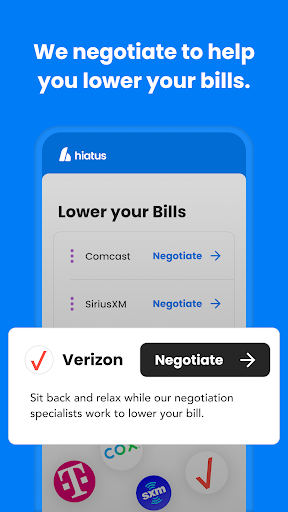 Hiatus: Bill and Money Manager screenshot