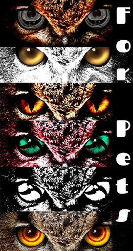 FoxEyes - Change Eye Color screenshot