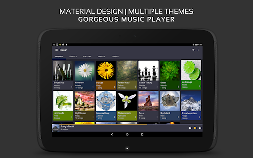 Pulsar Music Player Pro screenshot