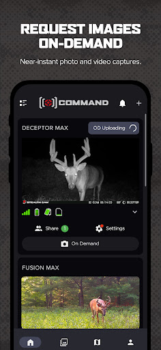 Command screenshot