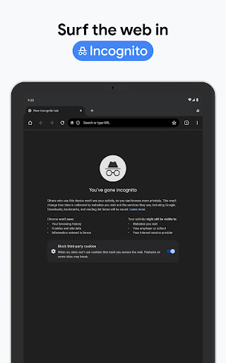 Chrome Dev screenshot