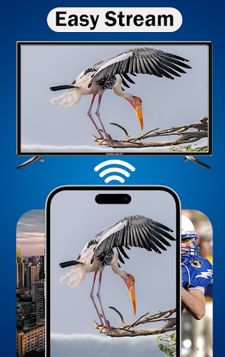 MirrorLink App for Car screenshot