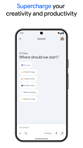 Google Gemini screenshot