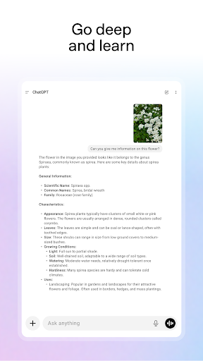 ChatGPT screenshot