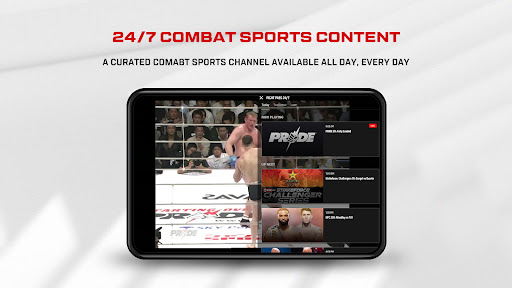 UFC screenshot