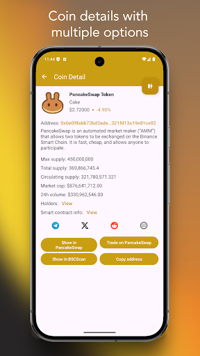 Binance Smart Chain Explorer screenshot