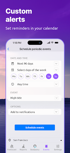 Nautide: Tides, Wind, Waves + screenshot