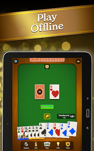 Gin Rummy Classic screenshot