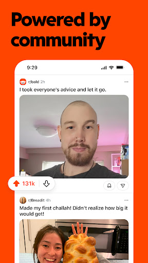 Reddit screenshot