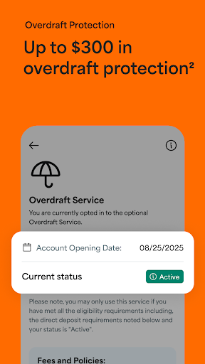 Netspend screenshot