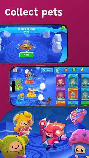 Boddle screenshot