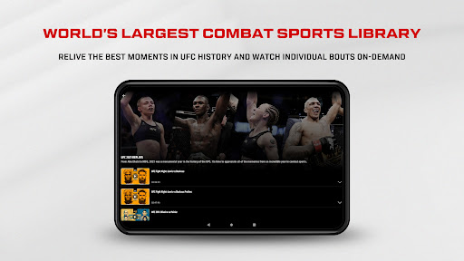 UFC screenshot