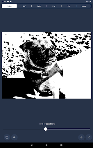 NotanIzer screenshot