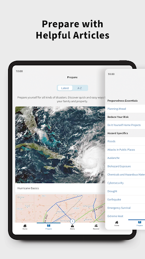 FEMA screenshot