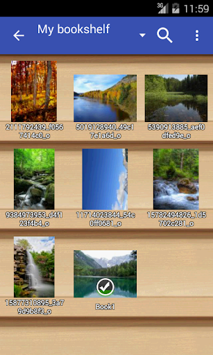 Perfect Viewer Donation screenshot