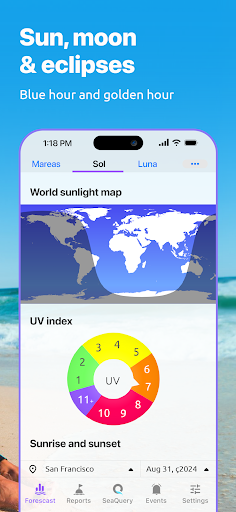 Nautide: Tides, Wind, Waves + screenshot