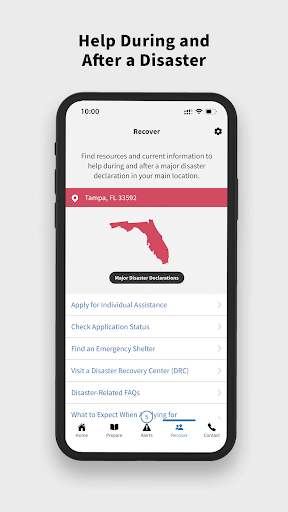 FEMA screenshot