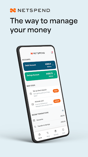 Netspend screenshot