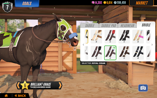 Rival Stars Horse Racing screenshot